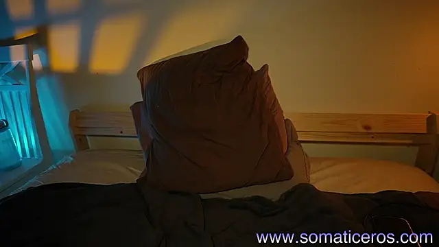 Snapshot of somaticeros chatting on 08/01/26, 09:35 somaticeros online show from 08/01/26, 09:35