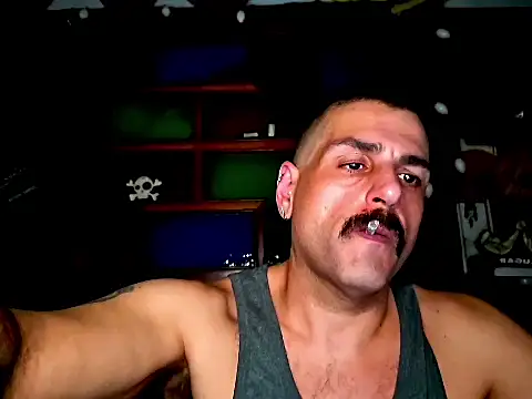 BrunoAlphaBR online show from 08/05/26, 08:47