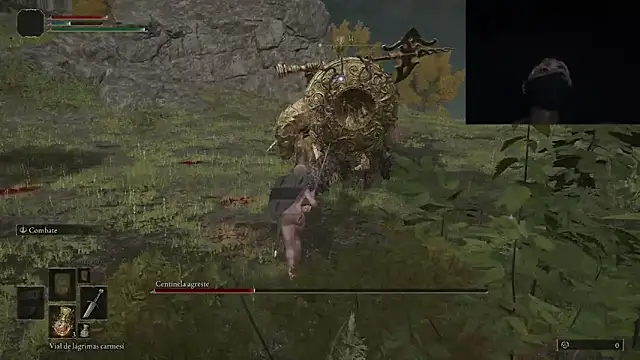 AxelRogue online show from 06/23/26, 05:05