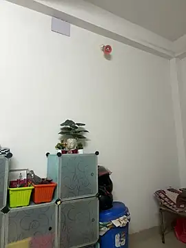 beast bearded dady online show from 07/11/26, 06:35