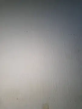Snapshot of fertwin chatting on 07/10/26, 03:50 fertwin online show from 07/10/26, 03:50