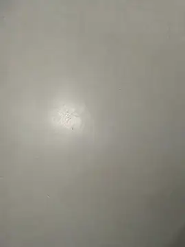 nasty-sexygal online show from 07/01/26, 04:51