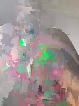 midnight pleasure500k online show from 07/13/26, 12:15