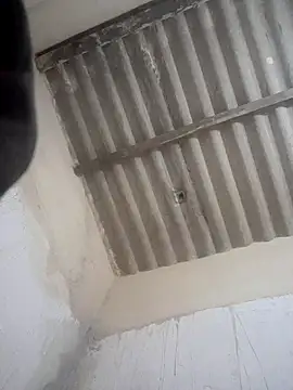 Melofcl online show from 07/06/26, 06:54