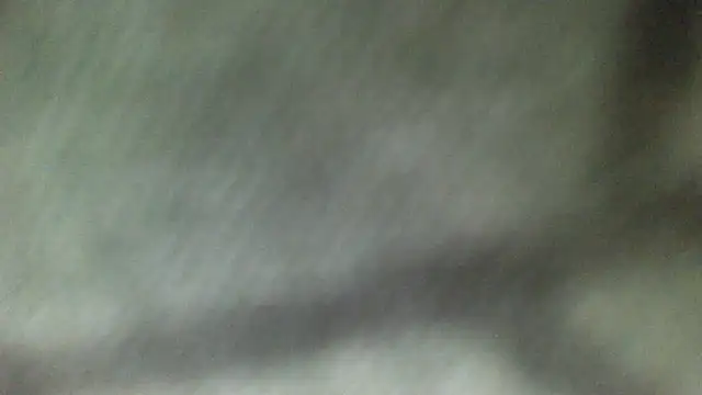 12InchesOfTransD online show from 07/14/26, 05:30