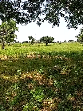 Buranaija online show from 07/12/26, 10:05