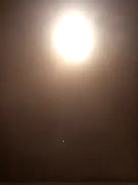 vox77 online show from 12/04/24, 06:33