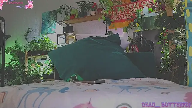 Dead Butterfly online show from 03/14/25, 04:32