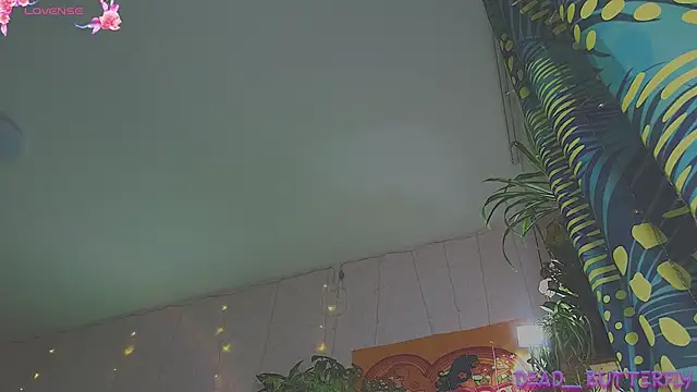 Dead Butterfly online show from 01/31/25, 12:40