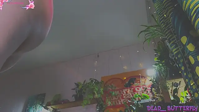 Dead Butterfly online show from 02/08/25, 03:41