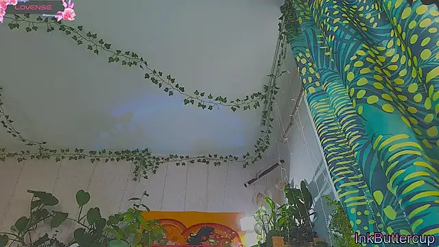 Dead Butterfly online show from 09/16/25, 03:18