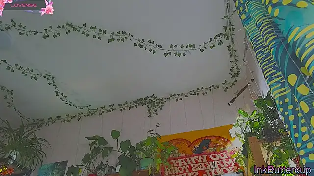 Dead Butterfly online show from 09/18/25, 03:09