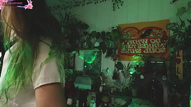 Dead Butterfly online show from 11/02/25, 04:28