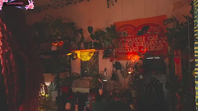 Dead Butterfly online show from 11/18/25, 03:32