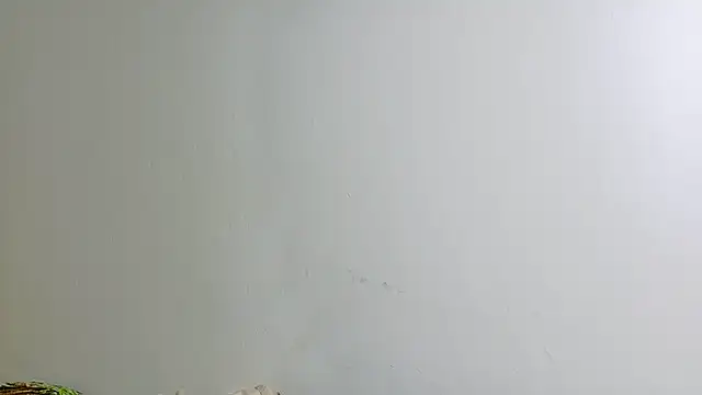 irisconde online show from 12/16/25, 08:24