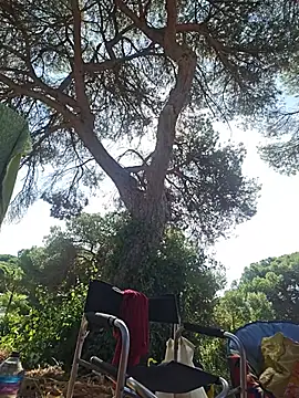MucMilf59 online show from 07/14/26, 08:52