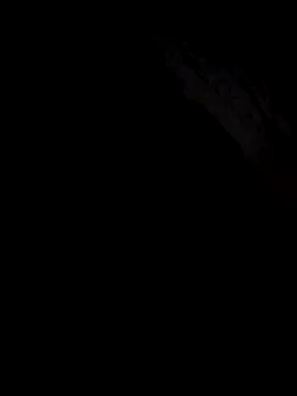 Snapshot of Gazda12 chatting on 12/19/25, 06:05 Gazda12 online show from 12/19/25, 06:05