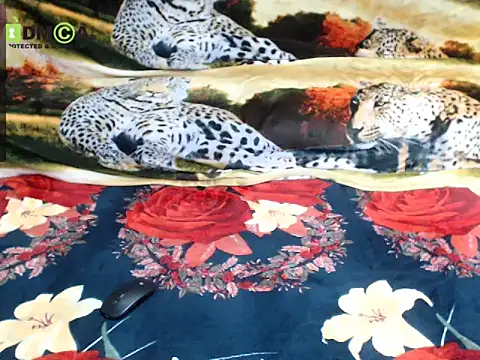 Queen Sarah online show from 12/13/25, 08:04