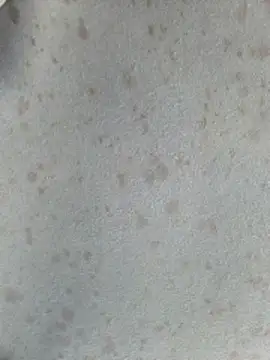 415cali925 online show from 03/17/26, 06:55