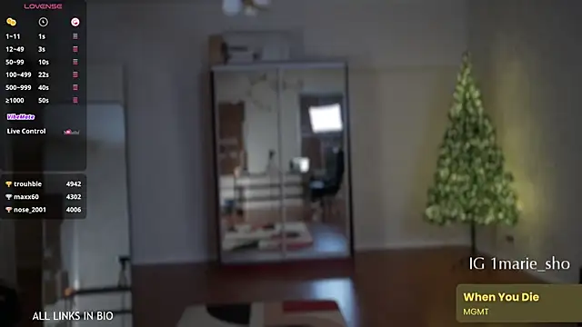 Snapshot of LAUREL_HAZEL chatting on 12/16/25, 07:29 LAUREL HAZEL online show from 12/16/25, 07:29