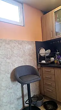 rposhta1991 online show from 03/14/26, 10:54