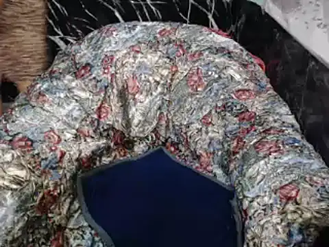 ASIANDOLLY4U online show from 02/02/26, 10:31