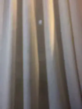 Chic desire online show from 02/22/26, 06:53