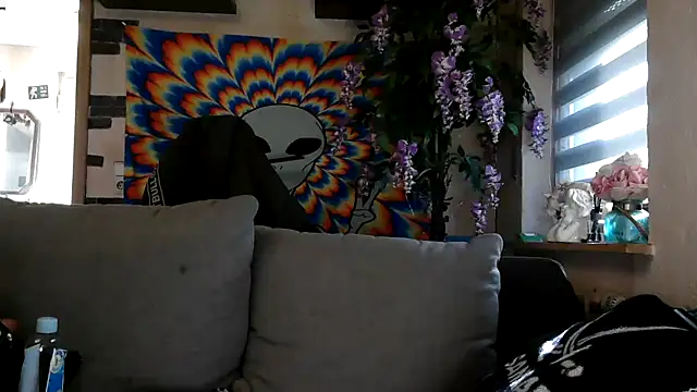 RoxxyInk online show from 11/12/25, 11:03