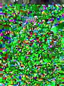 Snapshot of sissyvee chatting on 01/15/26, 05:00 sissyvee online show from 01/15/26, 05:00