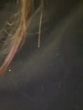 Snapshot of Jane_BBW chatting on 10/01/25, 02:10 Jane BBW online show from 10/01/25, 02:10