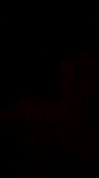 6crimson6 online show from 12/30/24, 04:20