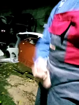 Pokaz2020 online show from 09/29/25, 07:41