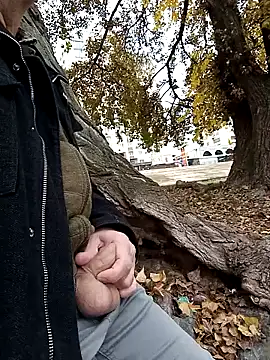 Pokaz2020 online show from 10/20/25, 11:11