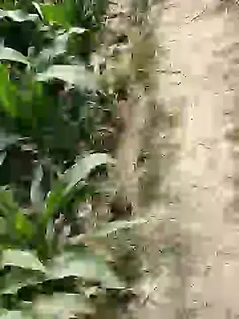 ThethunderPo online show from 02/25/26, 07:41