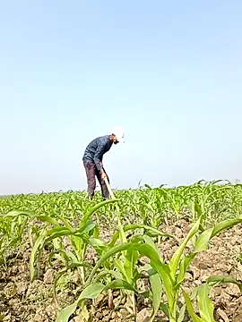 ThethunderPo online show from 02/06/26, 04:41