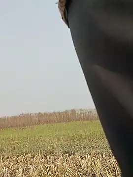 ThethunderPo online show from 11/16/25, 04:39