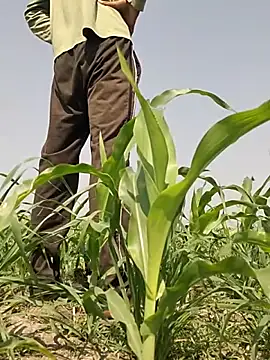 ThethunderPo online show from 03/02/26, 07:37