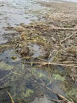 ThethunderPo online show from 01/06/26, 11:14