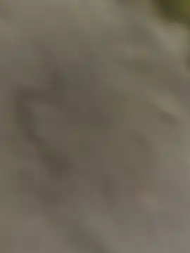 ThethunderPo online show from 10/31/25, 03:25