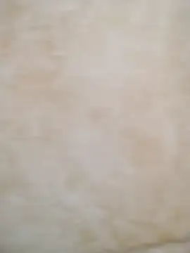 Camilatinass  online show from 04/03/26, 11:27