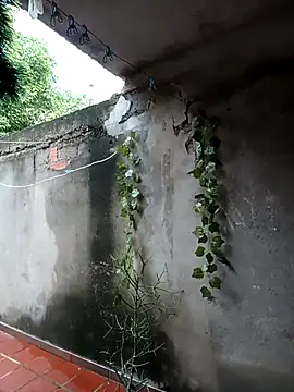 Camilatinass  online show from 04/16/26, 11:55