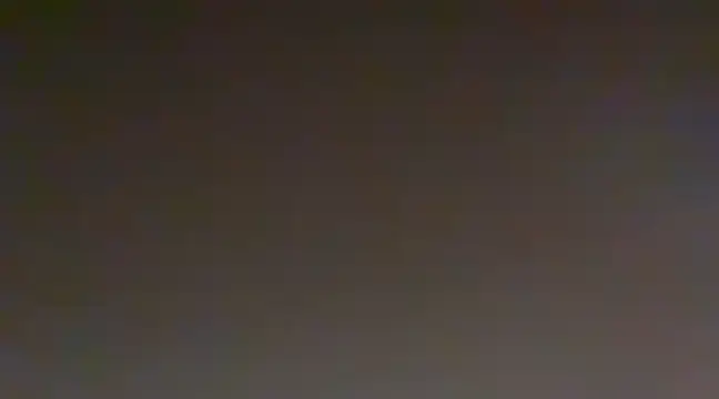 Snapshot of Sunning2 chatting on 12/20/24, 11:00 Sunning2 online show from 12/20/24, 11:00