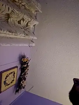 UncutHammer69 online show from 12/20/25, 07:44