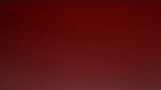 CindyCrawford online show from 04/24/26, 02:57