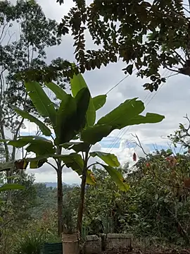 LINDA PATTY94 online show from 03/11/26, 08:36