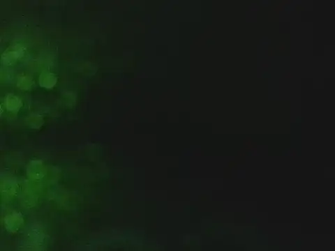 lonelycock33 online show from 11/07/25, 09:41