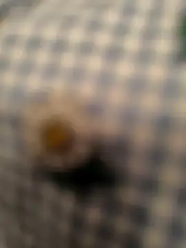 geilerboy2628 online show from 03/13/26, 02:16