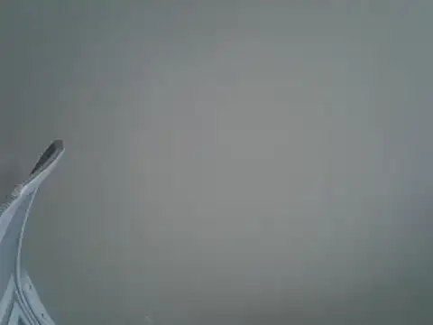 DitaVira online show from 03/18/25, 01:34