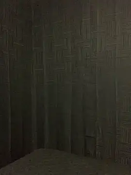 Snapshot of Rakiyahcharms chatting on 02/15/26, 11:31 Rakiyahcharms online show from 02/15/26, 11:31