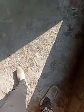 Bengali BULL1 online show from 11/15/25, 08:40